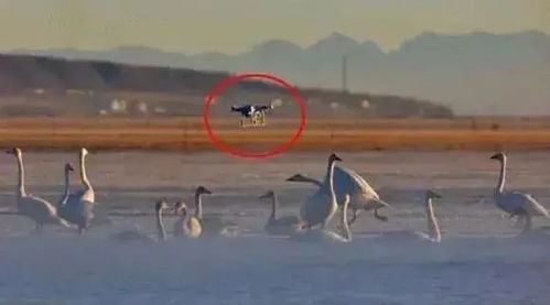 智能无人飞行器制造 民用无人机行业的11大应用场景及产业发展前景